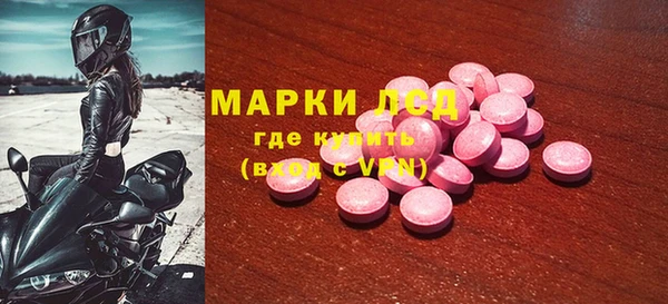 a pvp Инта