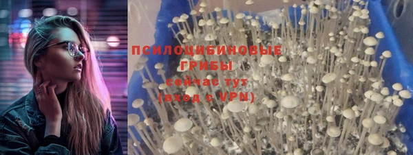 ALPHA PVP Богородск